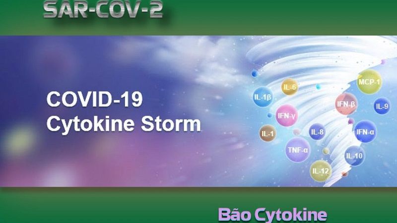 Cơn bão Cytokin (Cytokine Release Syndrome)