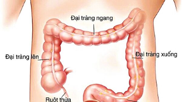 Chìa khoá giúp giảm tỷ lệ tử vong do ung thư đại trực tràng