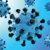 Flu shot protects against severe effects of COVID