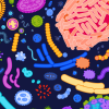Microbiome - the next chapter of precision medicine
