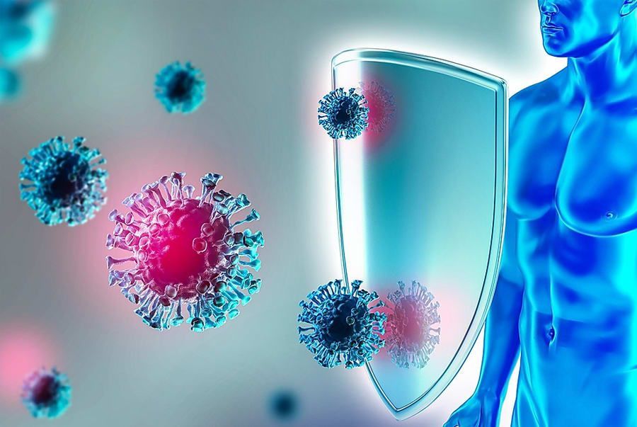 THCz (tetrahydrocarbazole): phân tử nhỏ có hoạt tính kháng khuẩn mới được xác định