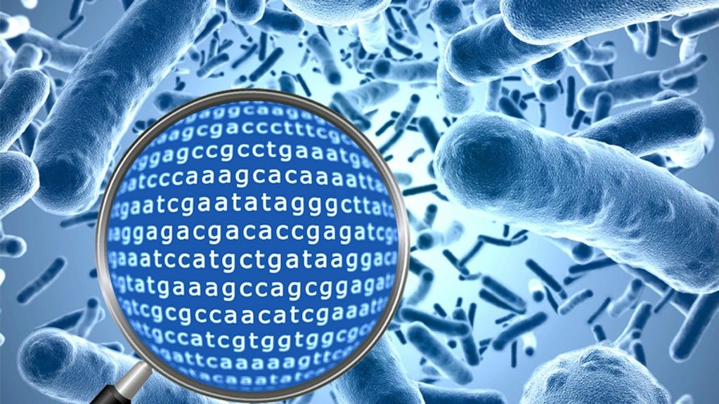 Thông báo tuyển sinh khóa "Ứng dụng giải trình tự gen thế hệ mới NGS - Illumina trong phân tích 16s metagenomics"