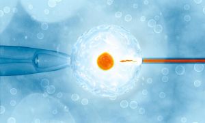 Sản phụ khoa & Hỗ trợ sinh sản