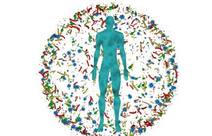 ỨNG DỤNG CÔNG NGHỆ GIẢI TRÌNH TỰ GEN NGS-ILLUMINA TRONG GIẢI TRÌNH TỰ 16S METAGENOMICS