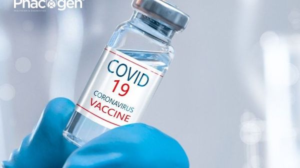 Kháng thế Llama siêu nhỏ có thể giúp chống lại các biến thể Sars