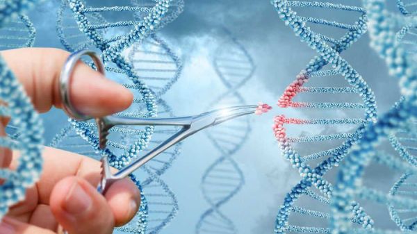 CRISPR một con đường mới để sản xuất kháng sinh