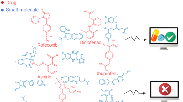 Drug-like molecule points to novel strategies for cancer therapy