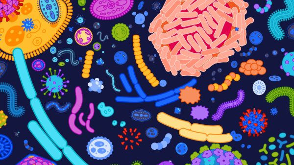 Microbiome - Hướng nghiên cứu của tương lai