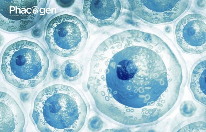 Breast Cancer in Women: Concept, Symptoms, and Risk Factors