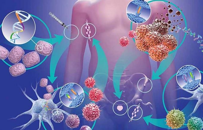 Breast Cancer in Women: Concept, Symptoms, and Risk Factors