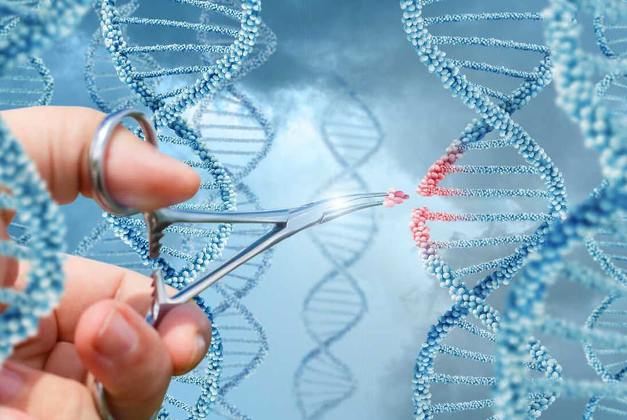 CRISPR một con đường mới để sản xuất kháng sinh