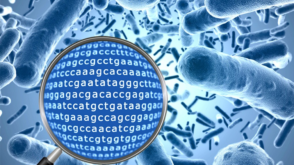 Call for registration-Course "Application of NGS-Illumina in 16s Metagenomics Analysis"