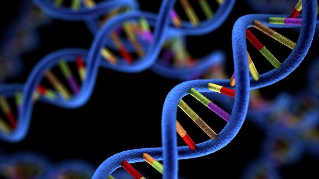 Tuyển sinh Khóa Ứng dụng giải trình tự gen thế hệ mới NGS-Illumina trong phân tích 16s Metagenomics