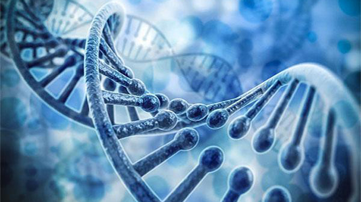 Tổng kết năm 2021 dưới góc nhìn về gene